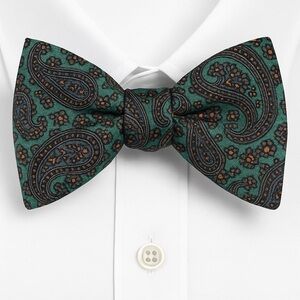 Robert Talbott Pure Silk Self-Tie Bow Tie – Paisley Pattern
